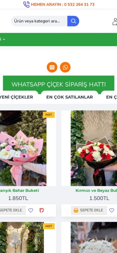 Alanyastarcicek Web Tasarım Mobil