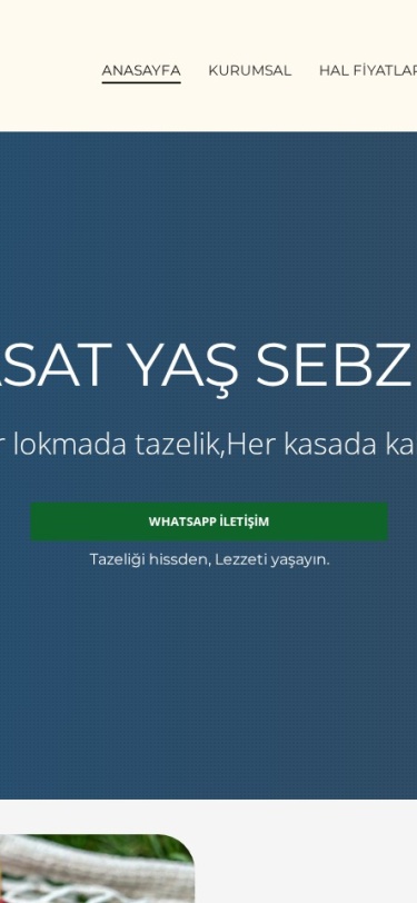 Altinhasat Web Tasarım Mobil
