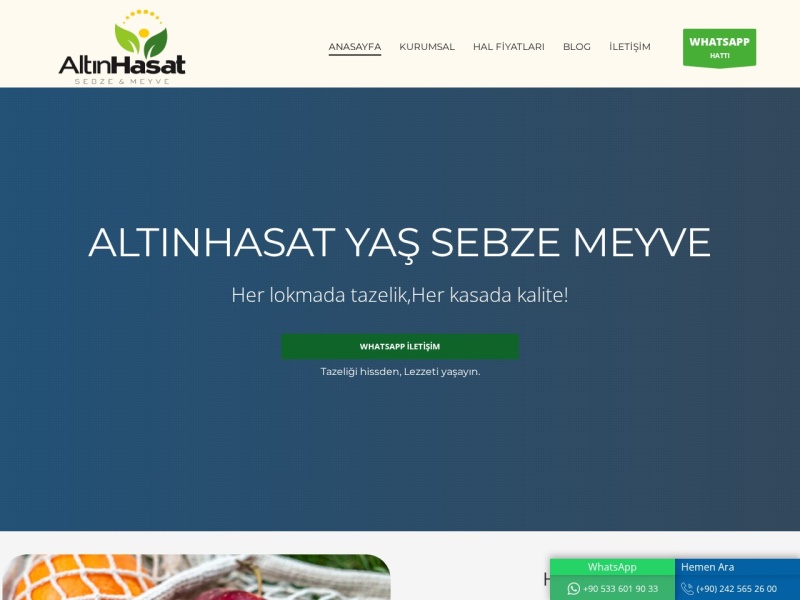 Altinhasat Web Tasarım Masaüstü