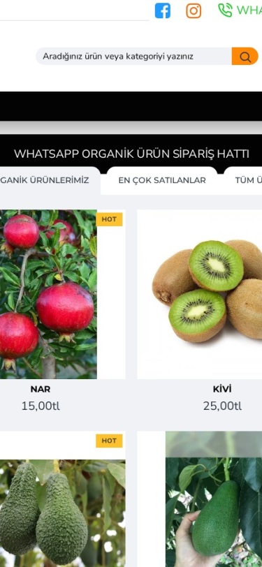 Ozcansebzemeyve Web Tasarım Mobil